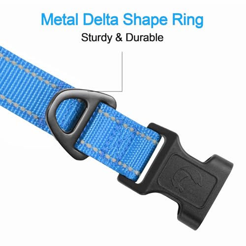 Joytale Halsband Hund, Gepolstertes Hundehalsband Breit aus Neopren Nylon Hundehalsband Verstellbar für Kleine Hunde, Weich und Reflektierend Hundehalsbänder, S, Blau