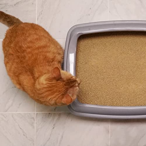 The 21 Best World's Best Cat Litter Cat Litter of 2023 [Verified