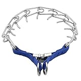 Petabunga Premium LED Dog Collar, USB Rechargeable & Superior Durability to Increase Dog Visibility & Safety, Glows at Night, Because Your Dog is Worth It (Blue, Large)