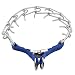 Petabunga Premium LED Dog Collar, USB Rechargeable & Superior Durability to Increase Dog Visibility & Safety, Glows at Night, Because Your Dog is Worth It (Blue, Large)