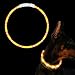 SaponinTree LED Collar de Perro de Mascota, Collar de Perro de Seguridad LED Intermitente con USB Batería, 3 Modos de LED Perro Collar Brillantes y Longitud Ajustable para Perros, 75CM (Orange)