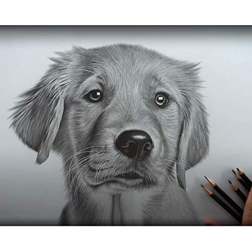 Mujinhua Professional Drawing Sketching Pencil Set - 15 Pieces,Graphite,(12B - 4H), Ideal For Drawing Art, Sketching, Shading, Artist Pencils For Beginners & Pro Artists #TOP6