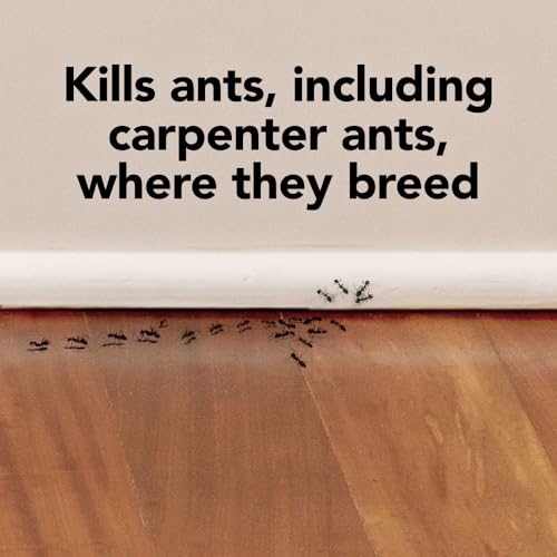 Raid Max Double Control Liquid Ant Killer Baits and Traps, Kills Ants Where They Breed, For Indoor Use, Child Resistant, 8 Bait Stations image 2