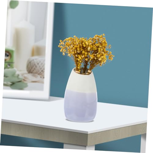 Bouquet de Flores Secas Gypsophila Natural 5 Piezas miniatura 5