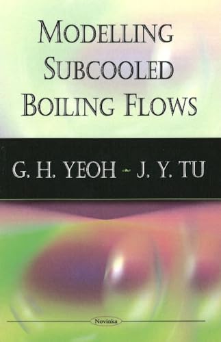 Modelling Subcooled Boiling Flows view 2