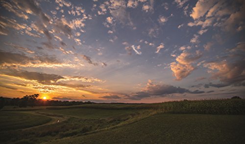 Farmhouse Rules: Simple, Seasonal Meals for the