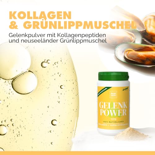 PAW WOW Gelenkpower Gelenkpulver 130g für Hunde, Katzen & Pferde | Mit natürlichem Kollagen & Grünlippmuschel | Unterstützt Gelenke & Bindegewebe | Ohne künstliche Zusatzstoffe