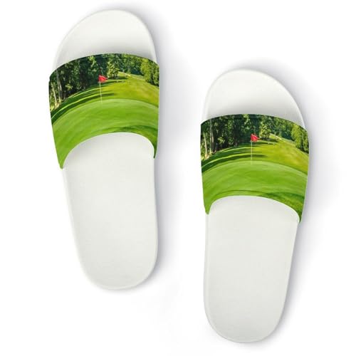 [ZKCASA] Xbp St  [V[Y jp  T_ y OJ ~ 􂦂 p qp Cp v[g 39 (245mm)