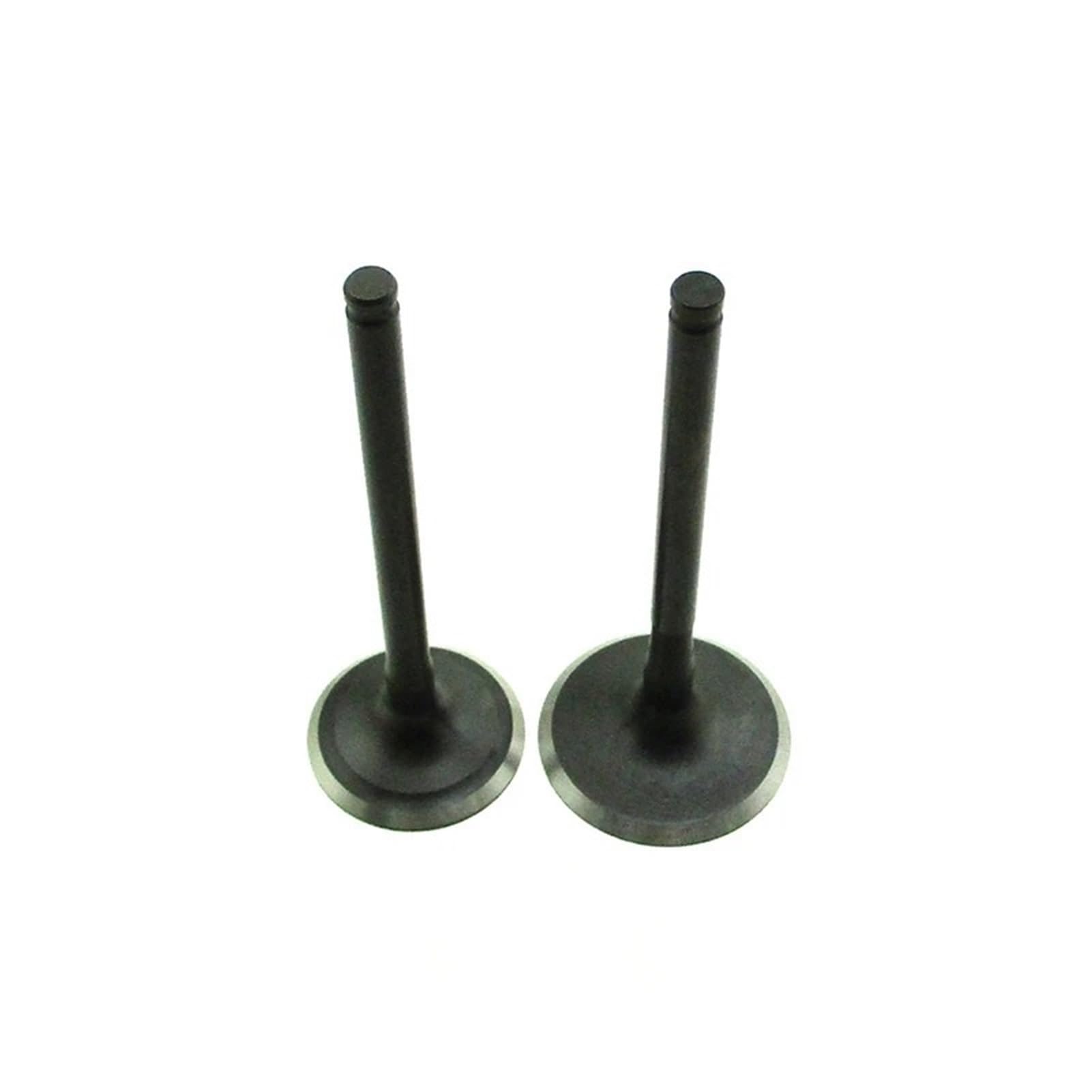 Gclanxi Multi-Colored Engine Intake Exhaust Valves For Zongshen 190Cc Pit Dirt Bike