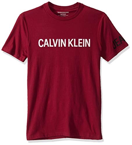 Calvin Klein Men's Brand Traveling Logo T-Shirt, Beet Red, X-Large