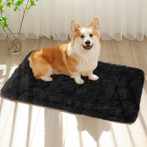 Small Bedside Rug, 2x3 Non Slip Fluffy Shaggy Entryway Throw Rugs for Bedroom Living Room, Indoor Floor Carpet for Kids Girls and Boys, Nursery Rooms Mat, Home Decor Aesthetic, Black
