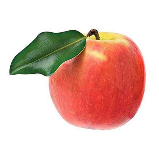 Malus Domestica Jonagold 120 cm äppelträd äpple Jonagold