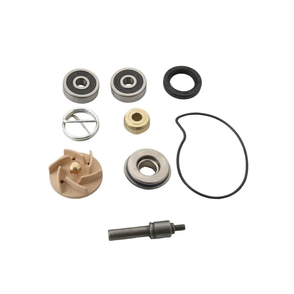 Kit de réparation de pompe à eau haute résistance pour GTS300 et GTV250 100110210