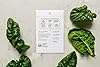 Sereniseed Certified Organic Leafy Greens Lettuce Seeds Collection (10-Pack) – 100% Non GMO, Open Pollinated – Grow Guide #1