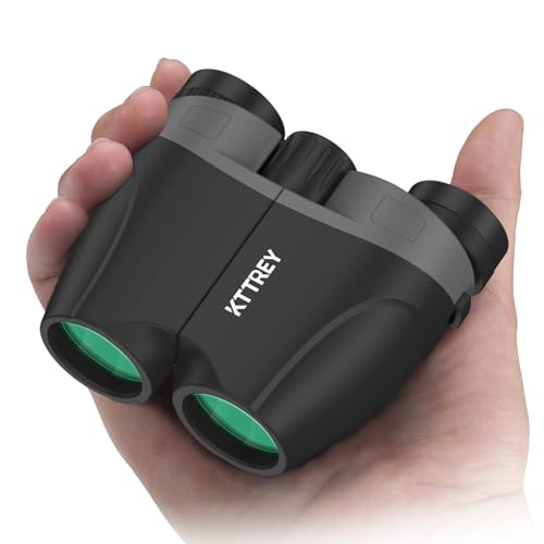 Image of 10x25 Compact Binoculars for Adults and Kids, Small High Powered Binoculars with Low Light Vision for Bird Watching, Hunting, Hiking, Cruise and Travel, Includes Carrying Bag