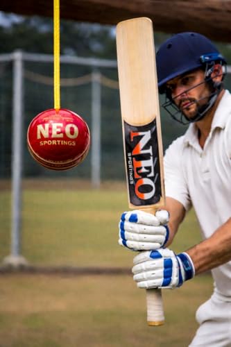 Neo Hanging Cricket Leather Ball_3.5 Meters (Pack of 1) 3 416wnggZbRL
