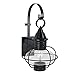 Norwell Lighting 1612-GM-CL New Vidalia Onion - One Light Outdoor Medium Wall Mount, Glass Options: Clear Glass, Choose Finish: GM: Gun Metal