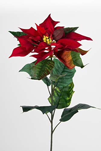 Seidenblumen Roß 12 Stück Weihnachtsstern Natura 72cm samt-rot PM Kunstblumen künstliche Blumen Poinsettie