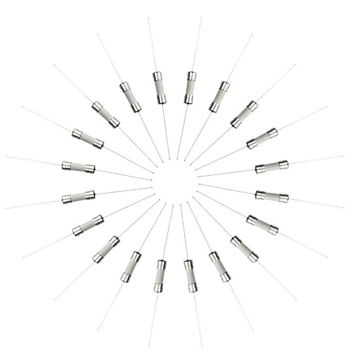T250mAL250V,250mA,250mA Fuse, Slow-Blow Ceramic Lead Fuses,5x20mm,0.25 amp 250 Volt,0.2" x 0.78" Time-delay Fuse (40Pcs)
