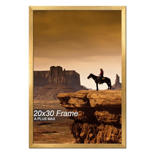 A PLUS MAX 20x30 Picture Frame Gold Light Weight Wall Mount