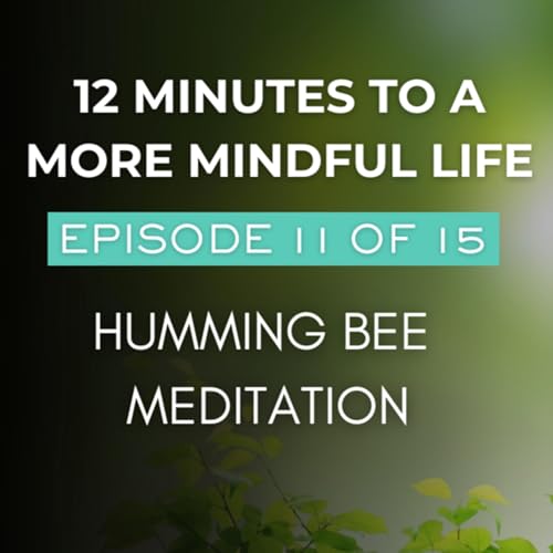 Episode 11 of 15 | Humming Bee Meditation | 12 Minutes to a More Mindful Life