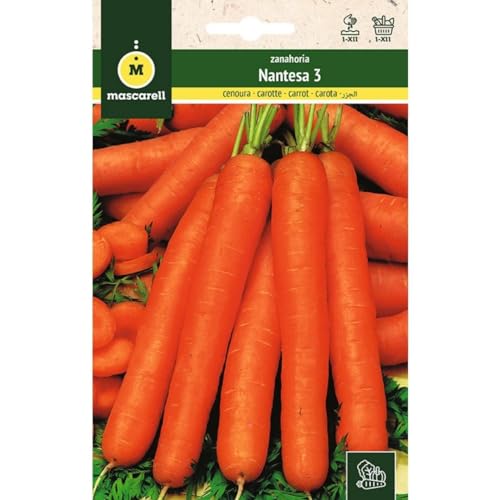 Mascarell Semillas, ZANAHORIA, Semillas Huerto, ZANAHORIA NANTESA-2, Crea tu Propio Huerto Urbano y Cultivo en Casa, Plantas Hortícolas, 8 Gramos