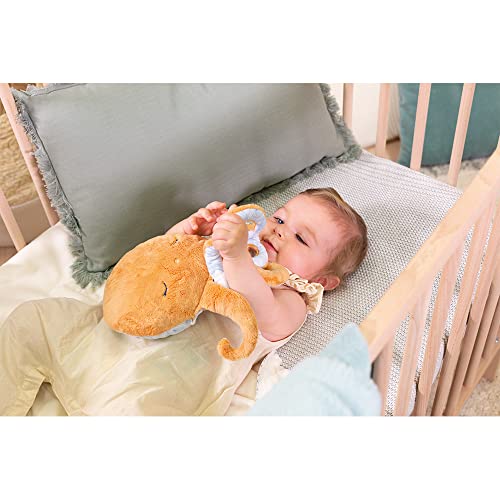 Kaloo, Petit Calme, Soothing Baby Plush, Octopus 10.2"/26 cm, Hot or Cold Hot Water Bottle, Very Soft Material - Image 4