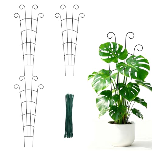 Image of 30 Inch Trellis for Climbing Plants Indoor 3 Pack Indoor Plant Trellis for Potted Plants Metal Garden Trellis for pots Indoor Outdoor for Monstera Pothos Vine Ivy Hoya(30inch Black)
