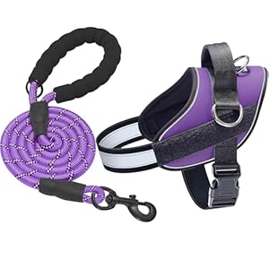 Haapaw Essential Dog Harness, No Pull Pet Vest with 3 Leash Clips, No Choke, Reflective, Adjustable and Padded, for Easy Walking and Training for Small Dogs(S, Purple)