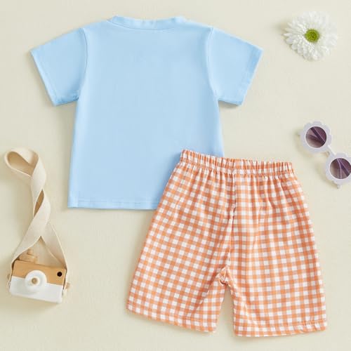 Image of Toddler Baby Boy Easter Rabbit Outfit Short Sleeve Bunny Carrot Smocked T-shirt Elastic Waist Shorts Summer Clothes