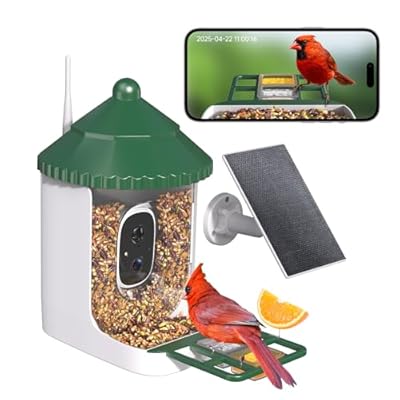 Loatos Bird Feeder with Camera AI Identify 2K Live Video Smart Bird Feeder with Camera, 2.4GHZ WiFi Solar Birds House Cameras, Motion Detection Instant Arrival Alerts, Ideal Present for Birds Lovers