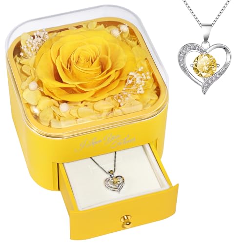Beferr Birthday Gifts for Women Preserved Real Rose with Necklace Eternal Roses Forever Flowers for Delivery Anniversary Mothers Gifts for Mom Her Grandma Wife Sister from Daughter Son