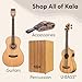 Kala KA-15 Series Satin Mahogany Ukulele, with Rosewood Fingerboard, 4 Aquila Super Nylgut Strings, for All Ages and Skill Levels, 24 Inches, Concert Ukulele