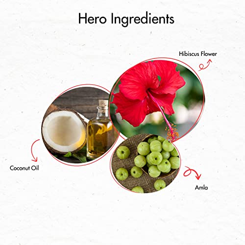 Image of Natural Hibiscus Hair Oil (Gudhal oil) 100 ml & Rosewood Dual Tooth Comb For All Types Of Hair, Naturally Nourishes Hair, Reduces Hair fall & Dandruff Control (Combo Pack of 2)
