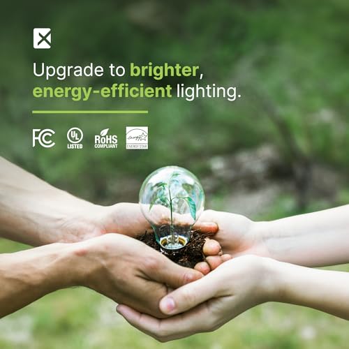 Image of Xtricity Compact Fluorescent Light Bulbs T2 Spiral, E26 Base (2 Pack) | 13W (60W Equivalent), 5000k Daylight, 900 Lumens, CFL, 120V - UL Listed