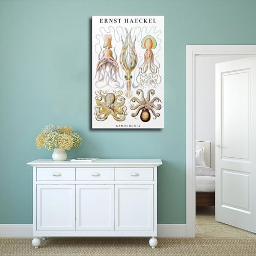 Toile Céphalopodes Ernst Haeckel décoration murale chambre