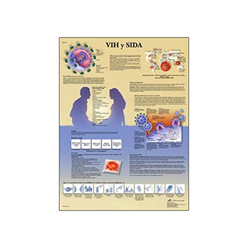Image of 3B Scientific VR1725UU Glossy Paper Hiv and Aids Anatomical Chart, Poster Size 20 inch Width x 26 inch Height