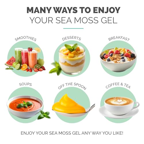 EverSmith Organics Wildcrafted Irish Sea Moss Gel (16 oz) — view 6