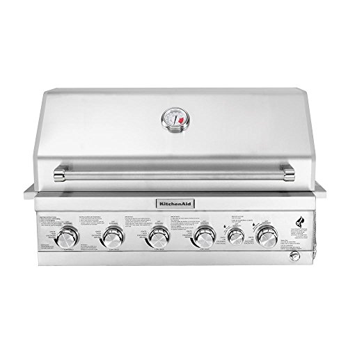 Best BuiltIn Gas Grills Review The perfect AllPurpose Grill? Trim
