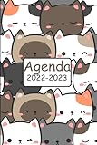  Agenda 2022-2023: Agenda Gatto . 1 Pagina per Giorno Con Orari e Calendario 2022 2023 . Agenda 2022 2023 Giornaliera . Agenda 2022 2023 Italiano . Formato Medio