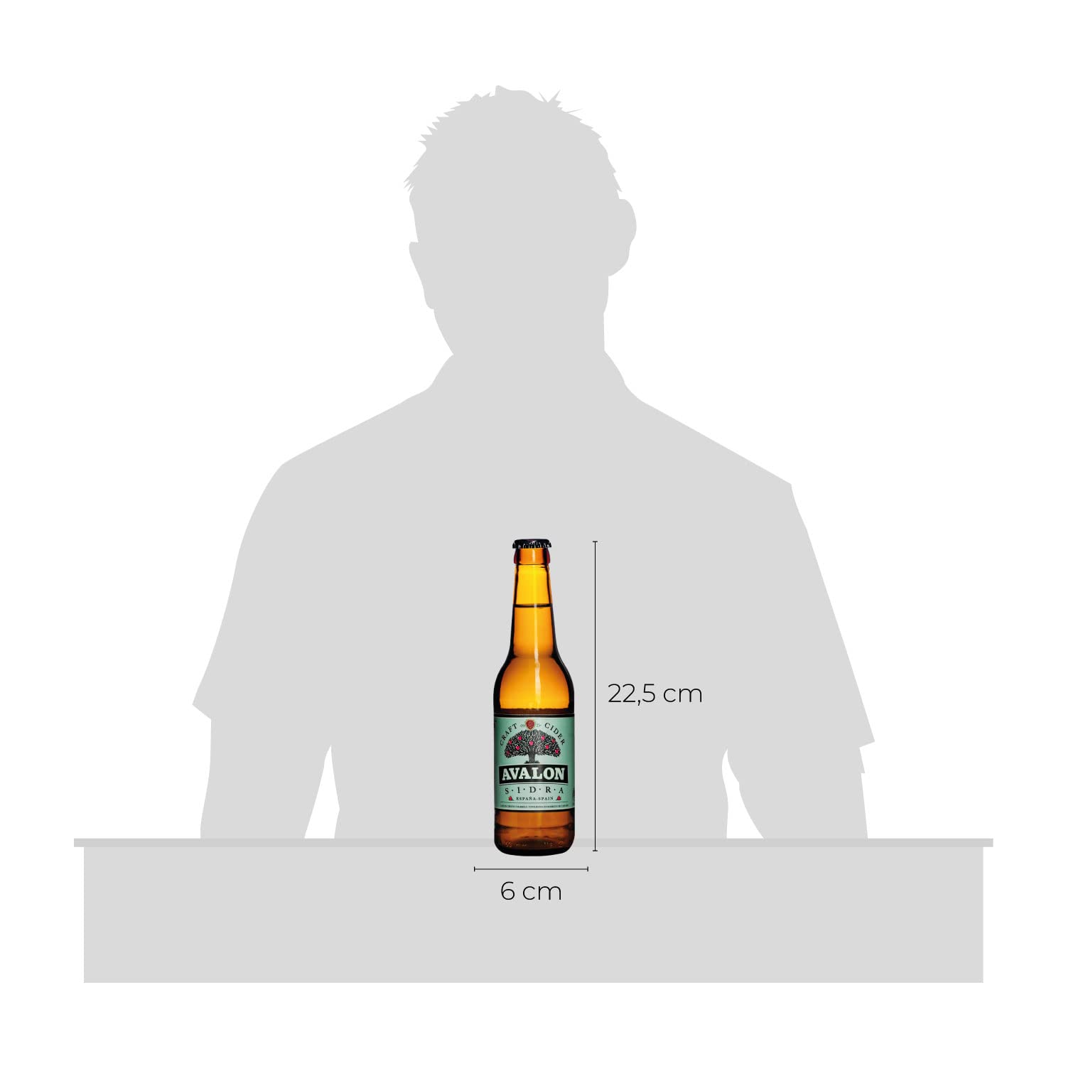 Trabanco Sidra Espumosa Ávalon Caja 12 Botellines 33 cl