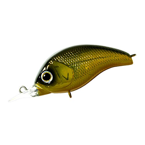 Amazon | デプス(deps) クランクベイト コリガン-SR 53mm 3/8oz GM