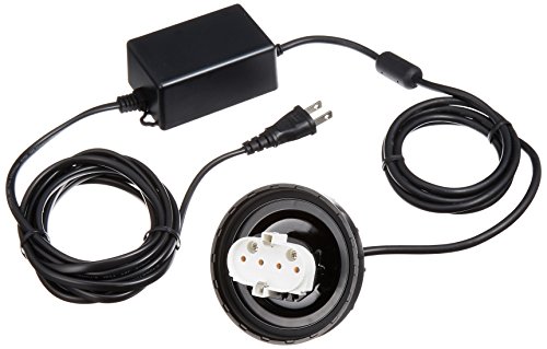 J~n^ ^[{cCXgZ 36Wp dR[h 36W