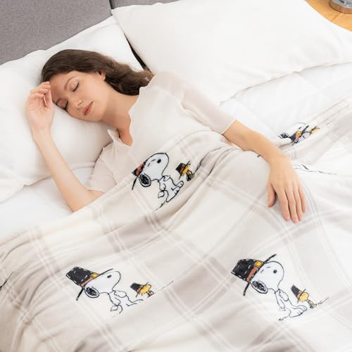 Image of Berkshire Blanket Peanuts VelvetLoft Cute Character Snoopy Plush Blanket,Lakeside Plaid Harvest Snoopy and Woodstock Grey,Twin 60 in x 90 in (Official Peanuts Product)