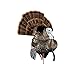 Avian-X HDR Strutter HDR Turkey Decoy