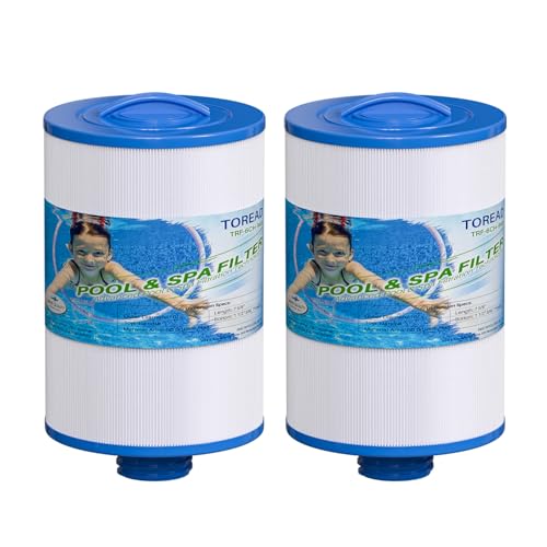 TOREAD - Lot de 2 filtres de Remplacement pour Spa Unicel 6CH-940, PWW50P3 (Pas PWW50P4), Filbur FC-0359, 817-0050, 25252, 03FIL1400 - Filetage SAE 3,8 cm