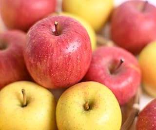 【2026年産・先行予約】りんご【サンふじ＆星の金貨】セット 約5kg（計12～20玉）★2026年11月中旬～12月中旬頃まで発送予定★ 青森県三戸町産