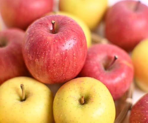 [2026年産・先行予約]りんご[サンふじ&星の金貨]セット 約5kg(計12〜20玉)★2026年11月中旬〜12月中旬頃まで発送予定★ 青森県三戸町産