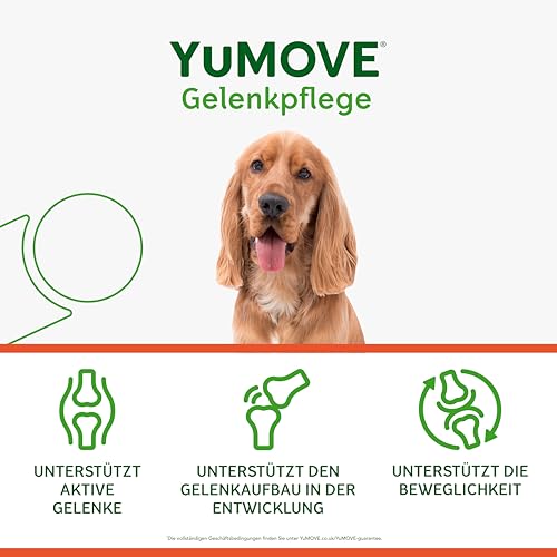 YuMOVE Gelenktabletten Hund Bis 5 Jahre 60 Stück - Patent Angemeldet ActivEase Grünlippmuschel Hund & Glucosamin Junge Hunde - Frühzeitige Unterstützung Gelenke & Beweglichkeit - Hunde Gelenktabletten