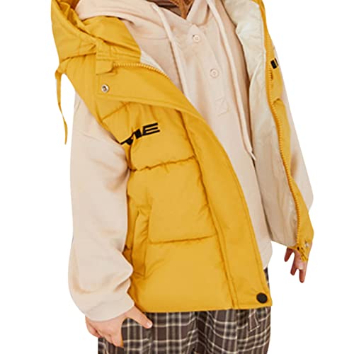 Down Jackets for Boys and Girls Winter Cute Bear Ears Hooded Full Zip Puffer Vest for Kids Warm
